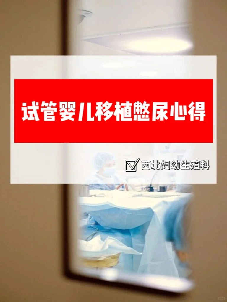 试试管婴儿 移植憋尿心得,专业代孕产子网