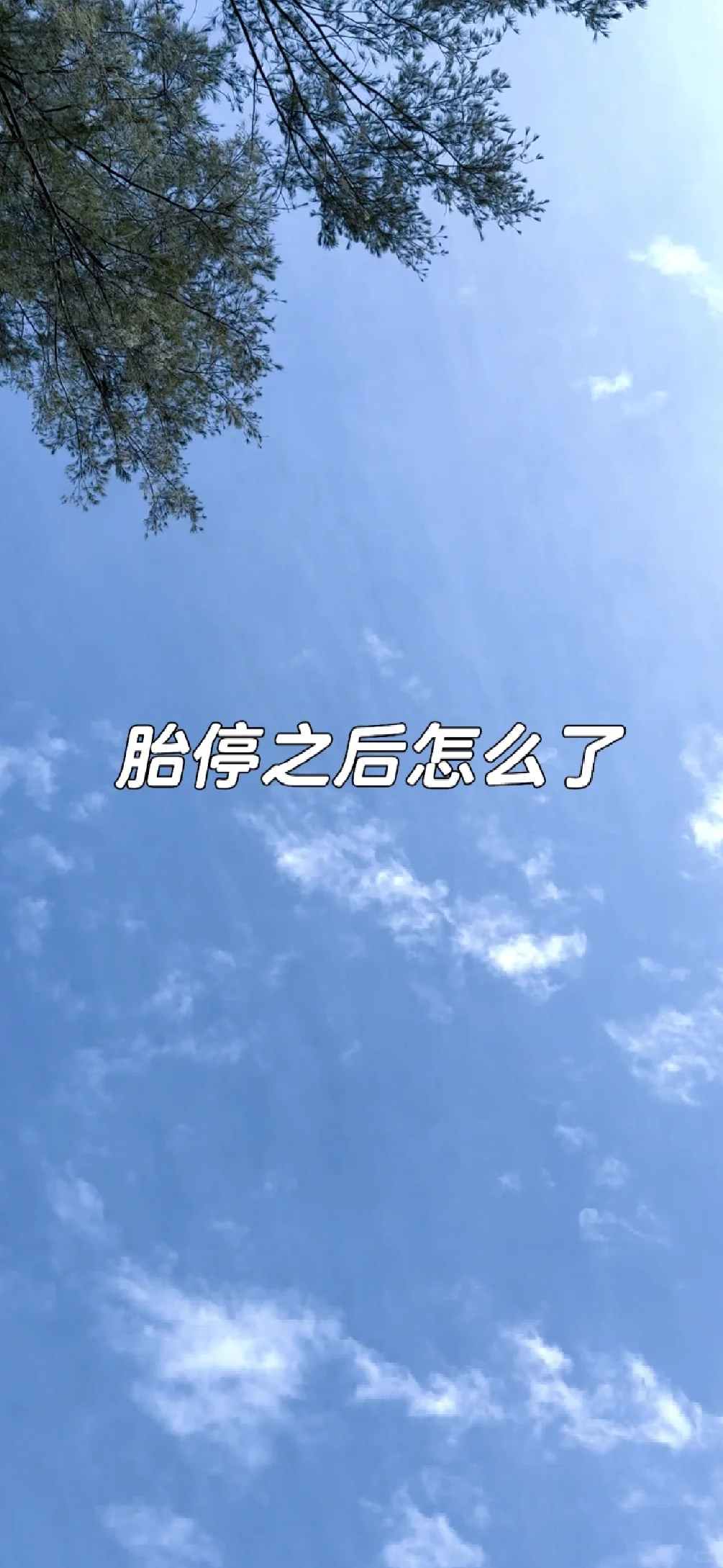 🇲🇾如何度过胎停