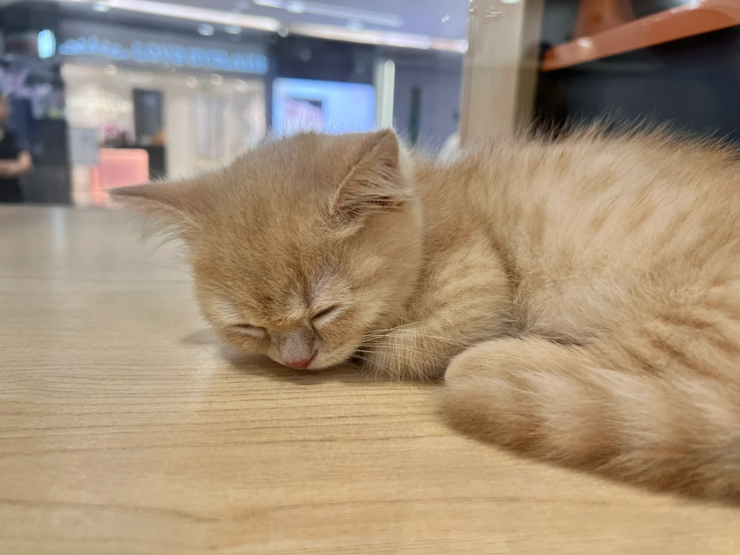 第24集｜🧪碎碎念☹️试管3个月，我emo了,供卵代怀助孕机构地址