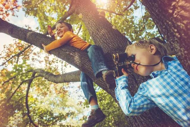 深圳无卵供卵试管,              华中科技大学协和深圳医院做残角子宫修复手术怎么样？            