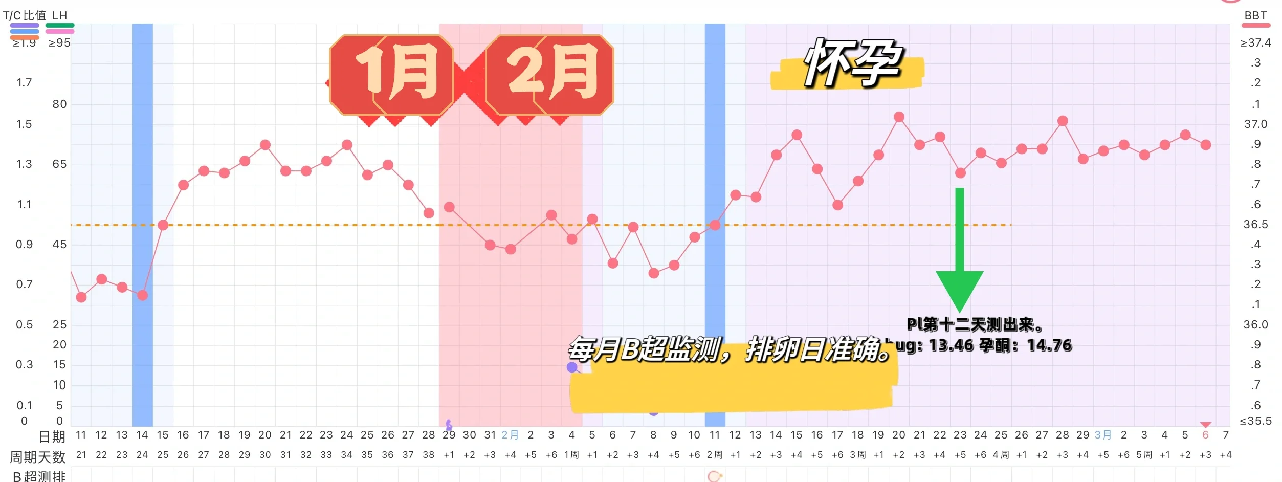 未怀孕和怀孕体温监测（附生化体温）