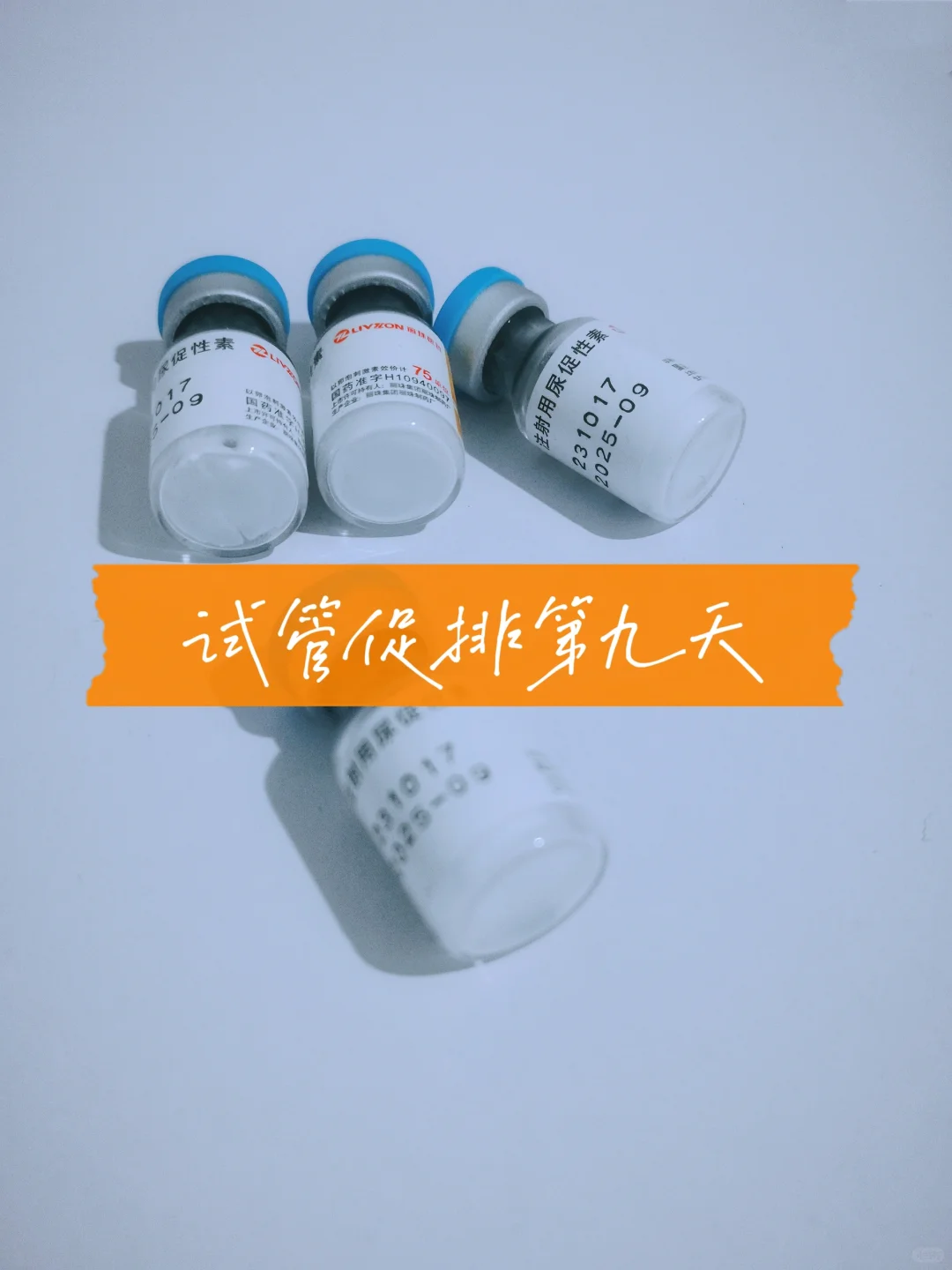 试管促排第九天，胖了两斤,代孕公司哪里专业