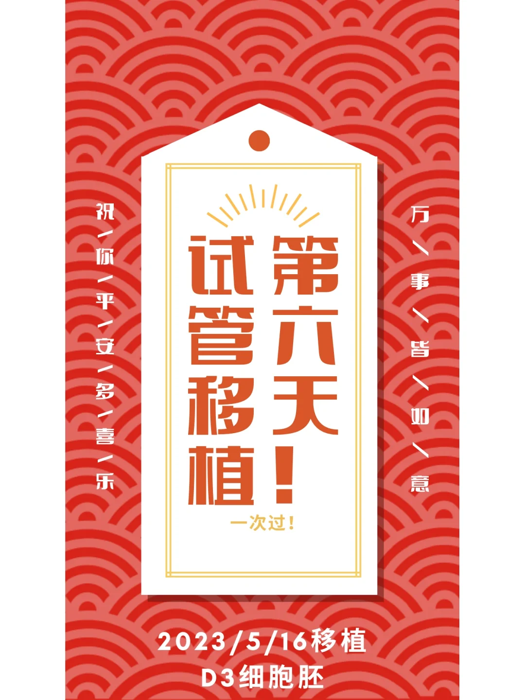 试管移植Day6-周一上班啦！