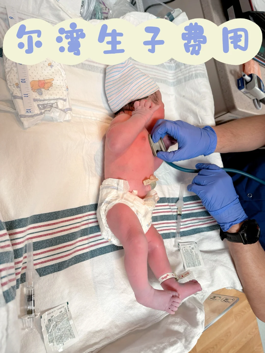 尔湾纯DIY生子费用